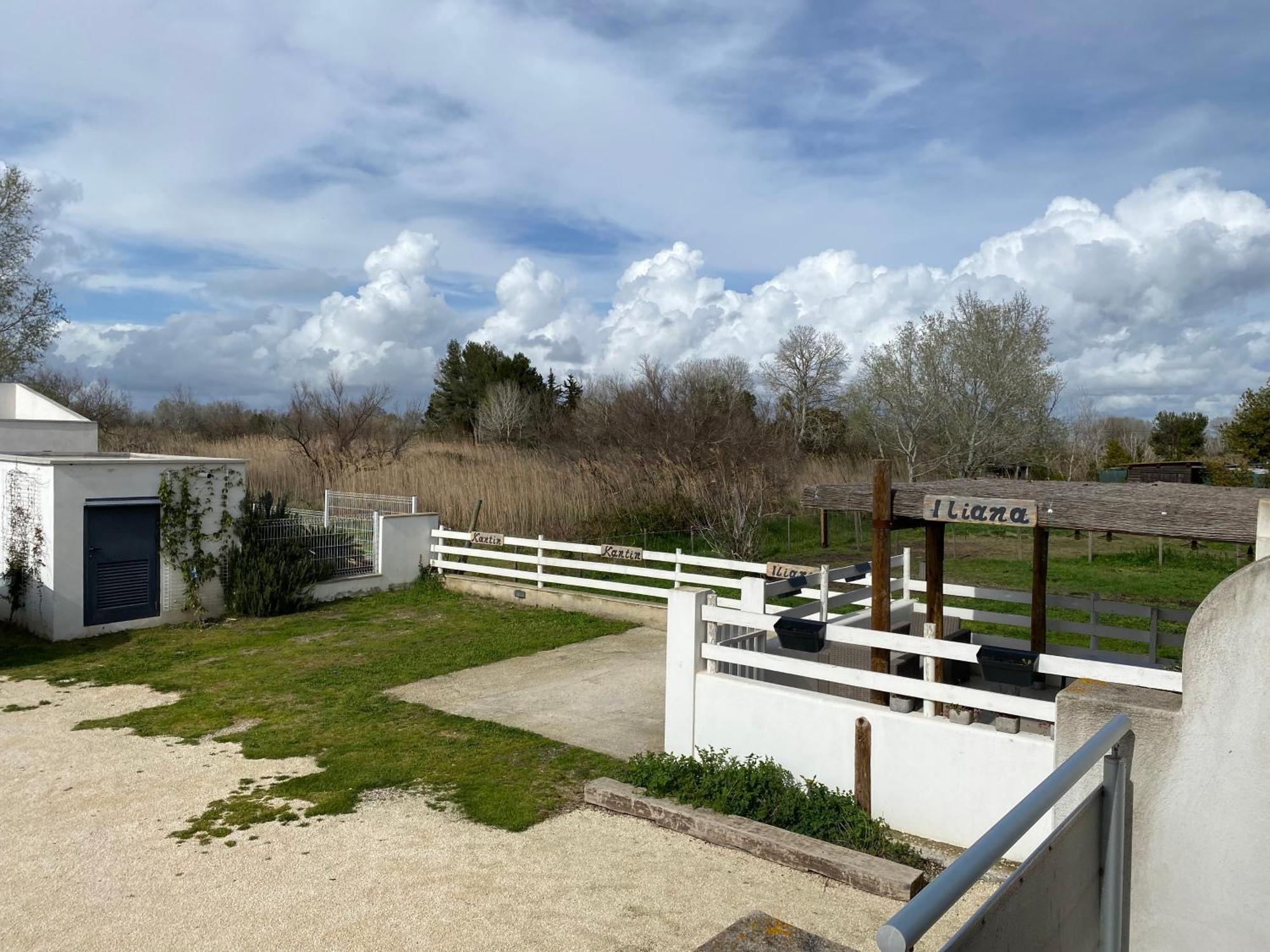 Les Maisons Du Paty Arles Exterior foto